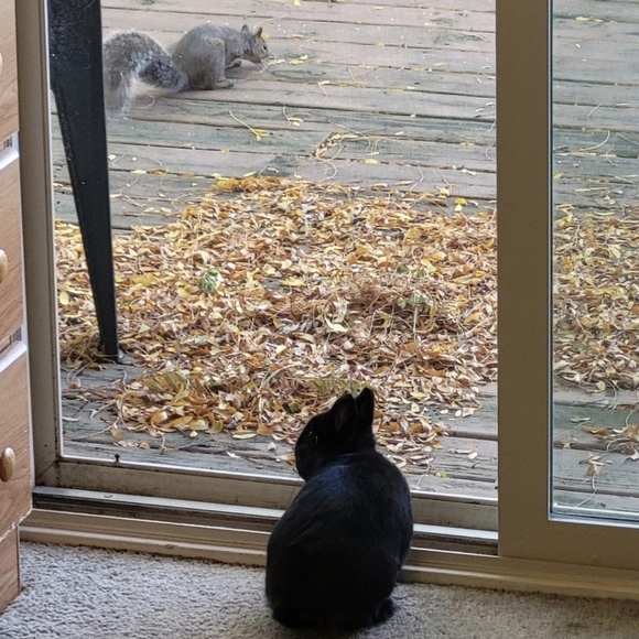 8mm Cube Apatite Bracelet - Picture 4 of 6